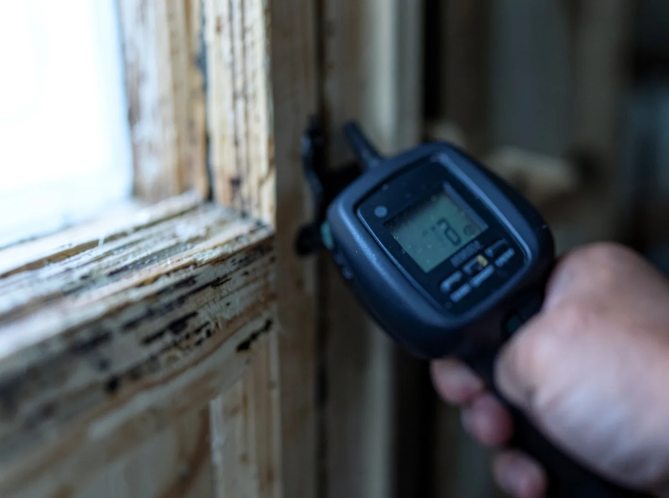 Moisture Inspection And Documentation in Coopersville, MI